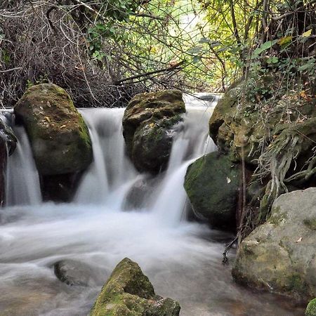 בית הארחה בנאמאהומה 	Casa La Rosa P.N. Sierra De Grazalema מראה חיצוני תמונה
