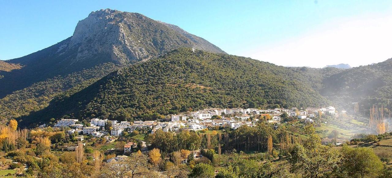בית הארחה בנאמאהומה 	Casa La Rosa P.N. Sierra De Grazalema מראה חיצוני תמונה